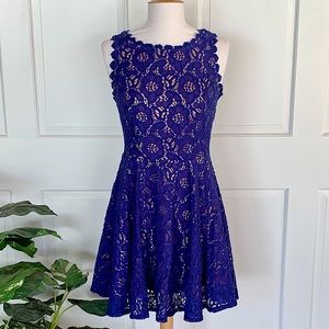 Royal Blue Lace Skater Dress